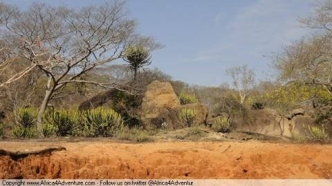 backroad-from-bulawayo-to-