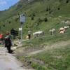 Motorradtour d918--col-d-aspin- photo