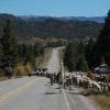 Motorradtour us-64--tres- photo