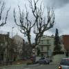 Motorrad Tour c61--bv5301-arenys- photo