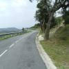 Motorrad Tour gi614--roses-- photo