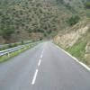 Motorrad Tour gi614--roses-- photo