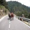 Motorradtour n152--la-collada- photo