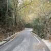 Motorrad Tour therisiano-gorge--theriso- photo