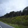 Motorrad Tour 6--greymouth-- photo