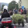 Motorrad Tour 14--sighisoara-- photo