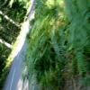 Motorradtour d268--col-de- photo