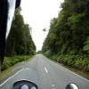 Motorrad Tour 73--arthur-s-pass- photo