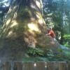 Motorrad Tour renfrew-to-cowichan- photo