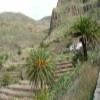 Motorrad Tour from-buenavista-to-arafo- photo