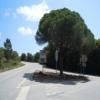 Motorrad Tour n379--cotovia-- photo