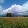 Motorrad Tour ss67--dicomano-- photo