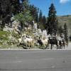 Motorrad Tour d132--col-de- photo
