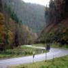 Motorradtour b48--annweiler-- photo