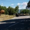 Motorrad Tour d2204--breil-sur-roya-- photo