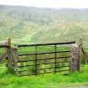 Motorradtour b6277--middleton-in-teesdale-- photo