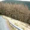 Motorradtour a483--llandovery-- photo