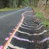 Motorrad Tour lismore--nimbin- photo