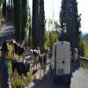 Motorrad Tour sacrario-del-monte-grappa- photo