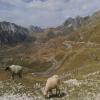 Motorradtour durmitor- photo