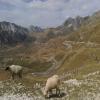 Motorrad Tour durmitor- photo