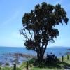 Motorradtour coromandel-circuit-nz_ttc-3-- photo