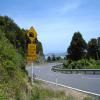 Motorrad Tour coromandel-circuit-nz_ttc-3-- photo