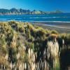 Motorradtour hamilton-tour--raglan- photo