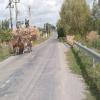Motorradtour babadag--murighiol-- photo
