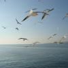 Motorradtour lake-iznik--istanbul- photo