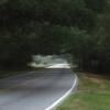 Motorrad Tour charleston--edisto-island- photo