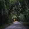 Motorradtour charleston--edisto-island- photo