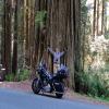 Motorrad Tour newton-b-drury-scenic- photo