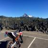 Motorrad Tour or-242--mckenzie- photo
