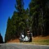 Motorrad Tour sumter-national-forest-2- photo