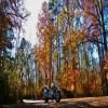 Motorrad Tour sumter-national-forest-2- photo