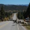 Motorrad Tour us-84--us- photo