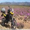 Motorrad Tour breede-river-to-sutherland- photo