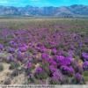 Motorradtour breede-river-to-sutherland- photo