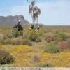 Motorrad Tour breede-river-to-sutherland- photo