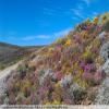 Motorrad Tour breede-river-to-sutherland- photo