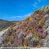 Motorradtour breede-river-to-sutherland- photo