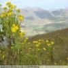 Motorradtour swartberg-pass- photo