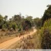 Motorradtour backroad-from-bulawayo-to- photo