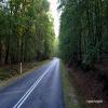 Motorradtour 102-to-pobierowo- photo