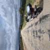 Motorrad Tour m502--silves-- photo