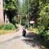 Motorradtour skaggs-and-hwy-1- photo