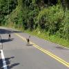Motorradtour taiwan-north-coast-- photo