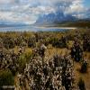 Motorradtour torres-del-paine- photo