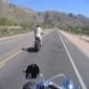 Motorrad Tour mount-lemmon-highway-- photo
